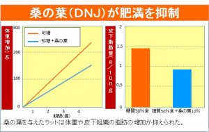 DNJ