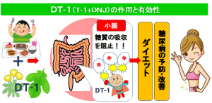 DT-1